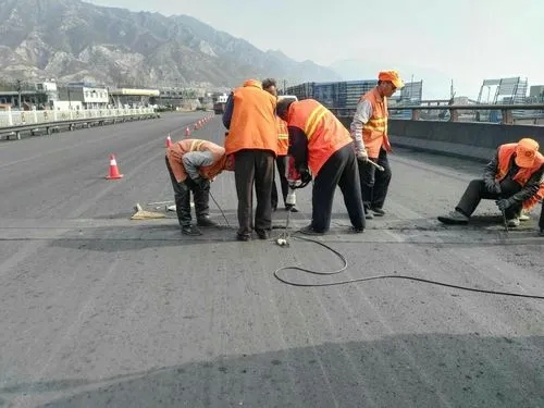 临县道路桥梁病害治理